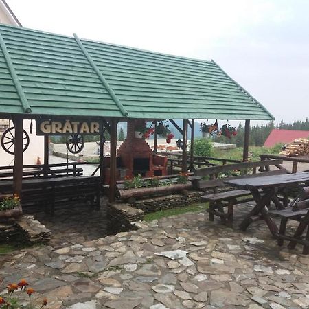 Pensiunea Brandusa Rânca Exterior foto
