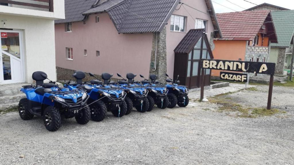 Pensiunea Brandusa Rânca Exterior foto